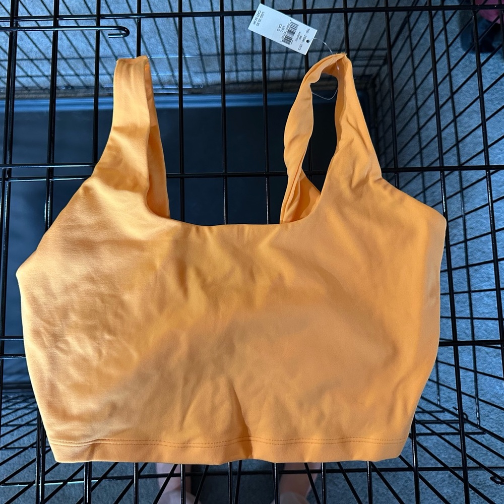 Aerie Sports Bra